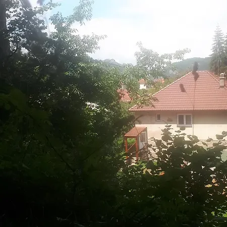 Apartman Ika Podgorica